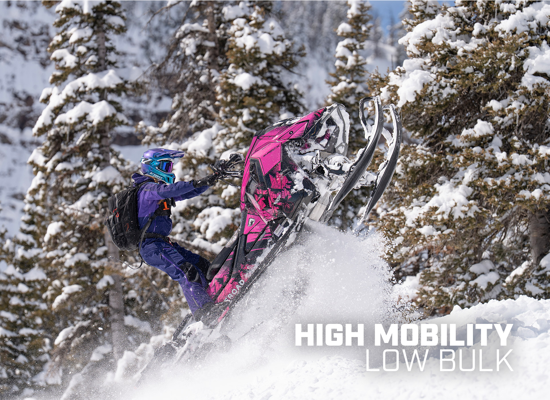Shredsa 6